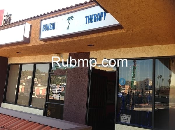 Photo of Bonzai Therapy
