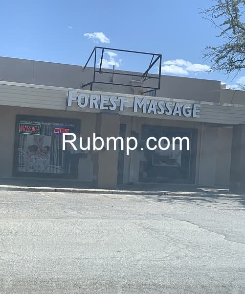 Photo of Forest Massage