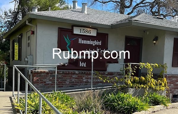 Photo of Hummingbird Spa Massage