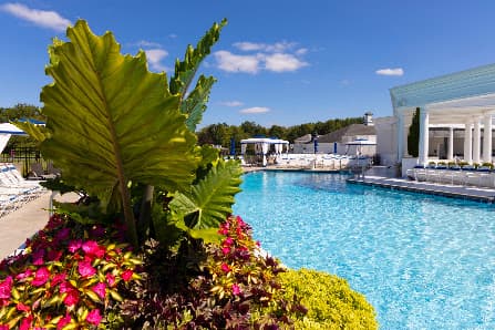 Photo of The Grand Resort