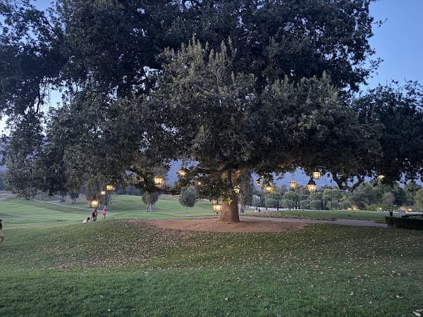 Photo of The Oak
