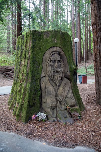Photo of The Camp Recovery Center