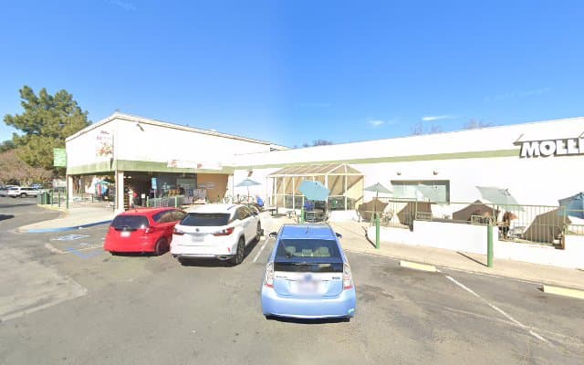 Photo of Organic Day Spa