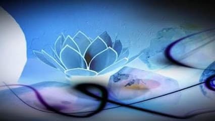 Photo of Total Wellness Massage