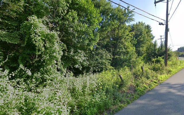 Photo of Iron and Motion Massage LLC