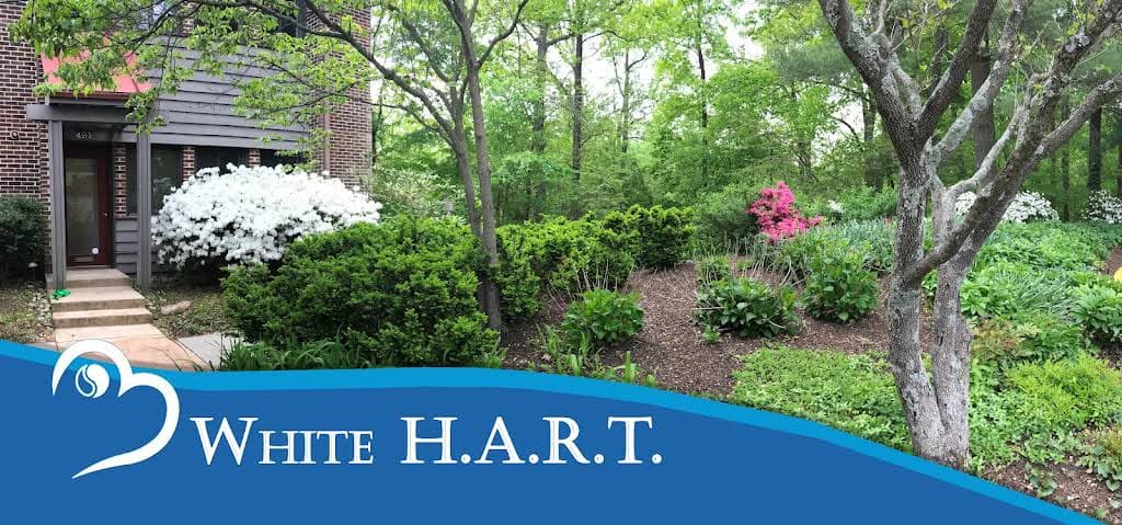 Photo of White H.A.R.T. Massage