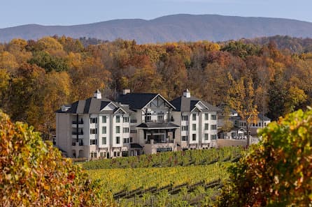 Photo of Nicewonder Farm & Vineyards