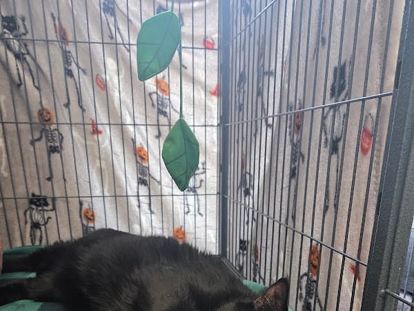 Photo of Aberdeen Area Humane Society