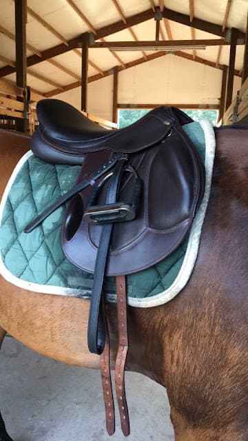 Photo of Equine Massage and Saddlefit School