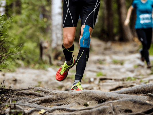 Photo of True Sport Care Chiropractic and Physical Therapy