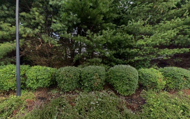 Photo of Stony Brook Holistic Wellness