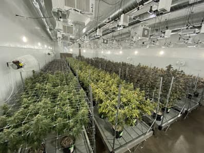 Photo of R.Greenleaf Roswell - Cannabis Dispensary