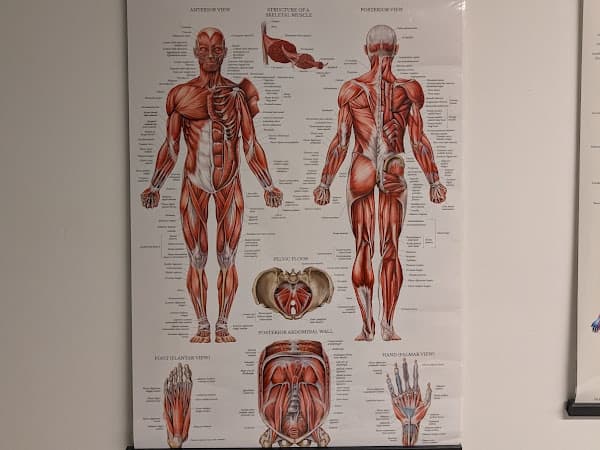 Photo of Rolfing by Marcela