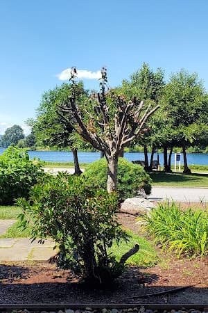 Photo of Tranquility Springs Wellness Spa