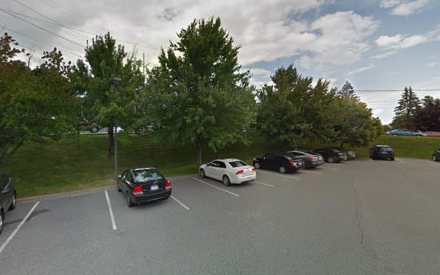 Photo of Twisted Tree Wellness