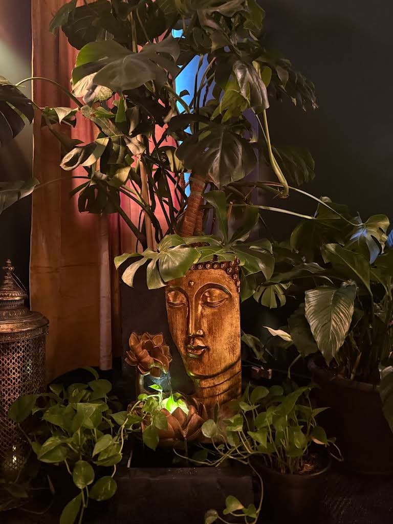 Photo of Arash Massage