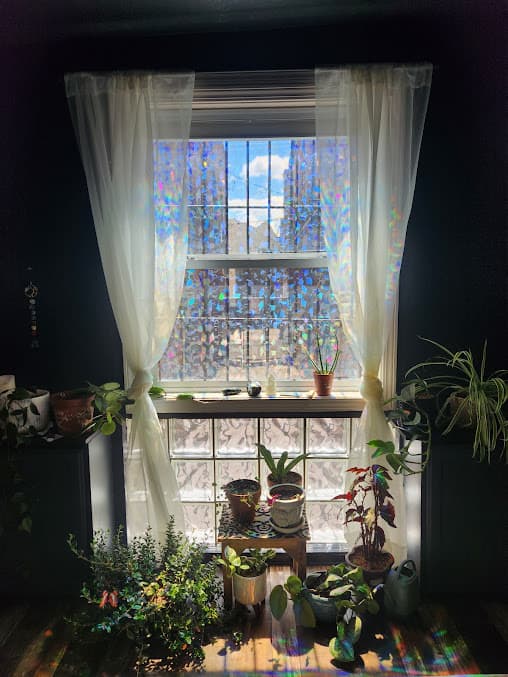 Photo of Laurel Massage