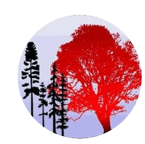 Photo of Red Oak Massage By Ann Timmerman LLC