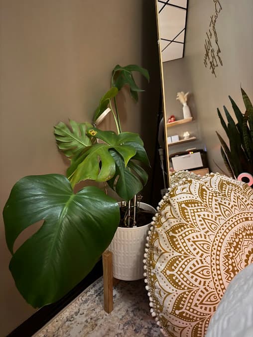 Photo of Beauty & Wellness by Beth