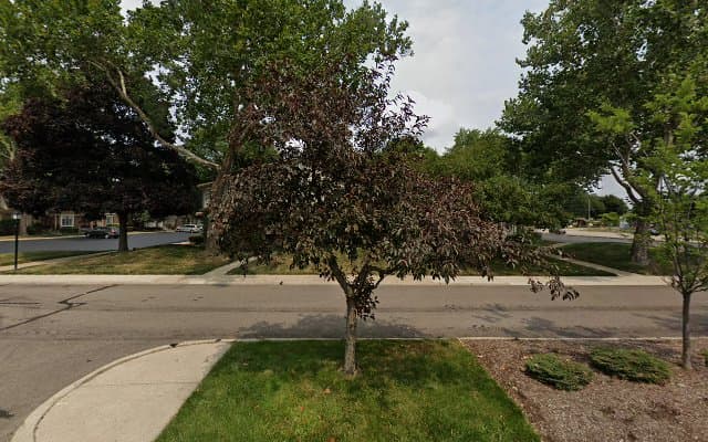 Photo of Royal Oak Beauty