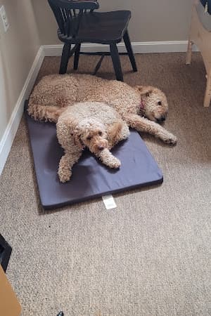 Photo of Head to Toe Physical Therapy-Maine