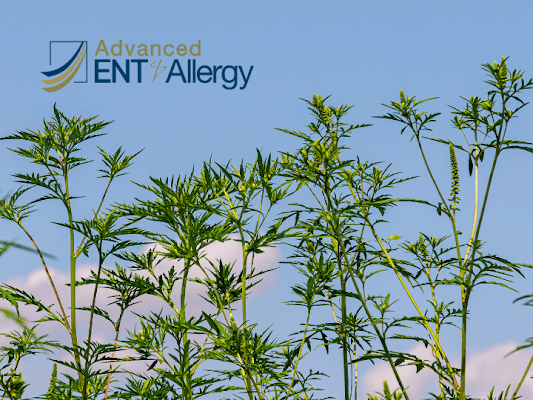 Photo of Advanced ENT & Allergy -Shelbyville