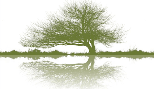 Photo of Greentree Massage