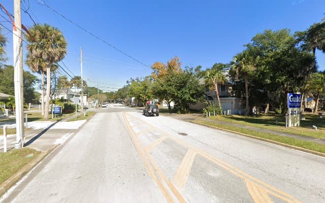 Photo of The Tulip Skin