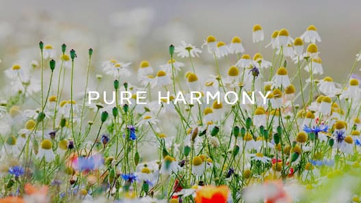 Photo of Pure Harmony LLC