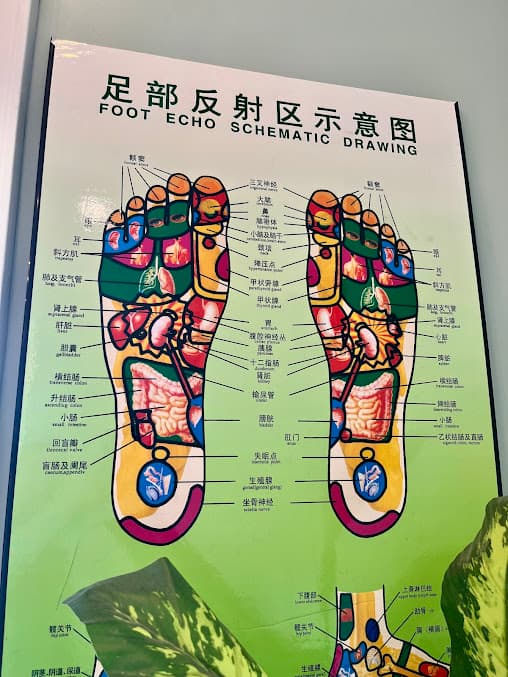 Photo of Paradise Foot Spa - Foot & Body Massages in St. Petersburg, FL