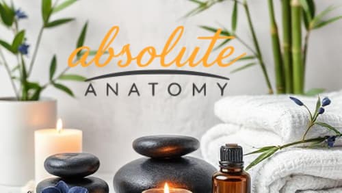 Photo of Absolute Anatomy