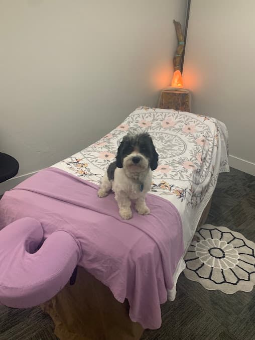 Photo of Mountain Life Massage and Bodywork