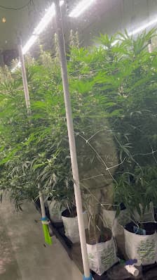 Photo of High Country Healing Vail Dispensary