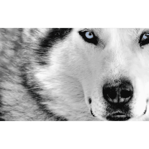 Photo of Lonewolf Massage | Therapeutic & Relaxation Massages
