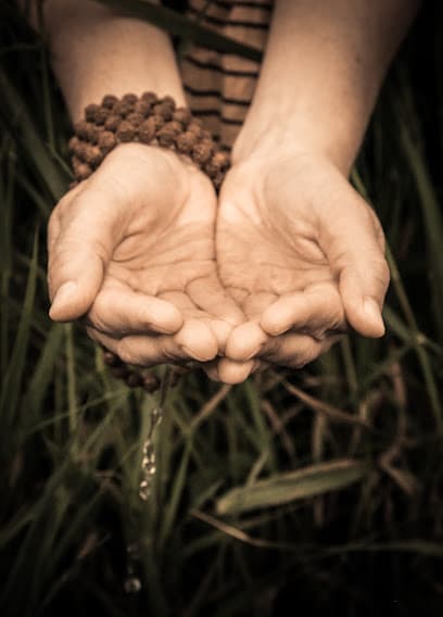 Photo of Soul Body Align LLC