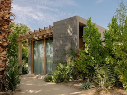 Photo of Two Bunch Palms