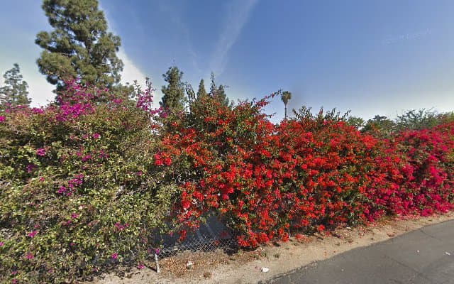 Photo of Bodycentre Wellness Suites & Spa - Anaheim Hills