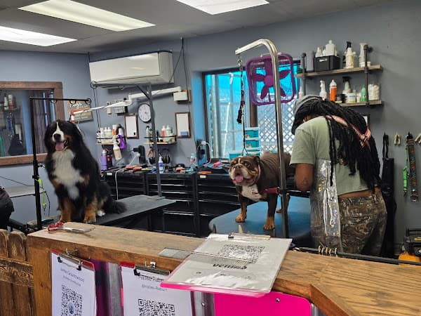 Photo of Mountain Peak Grooming