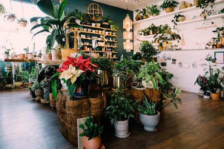 Photo of THE SUNROOM - Massage & House Plants