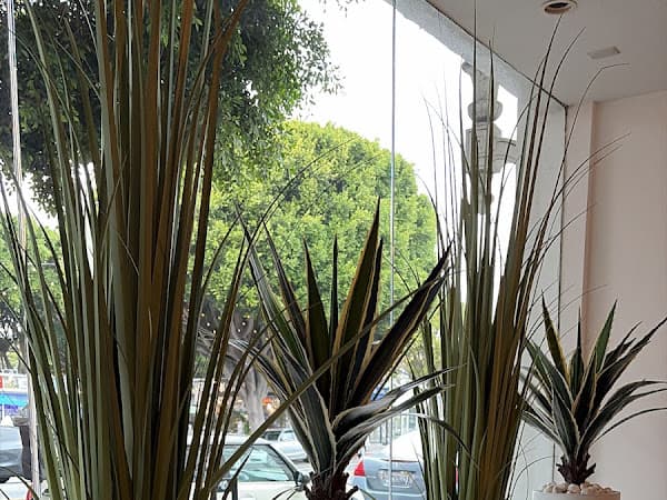 Photo of The NOW Massage Santa Monica