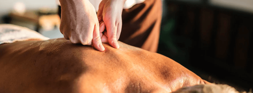 Photo of Tranquility Massage and Wellness