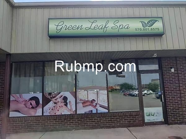Photo of Green leaf spa