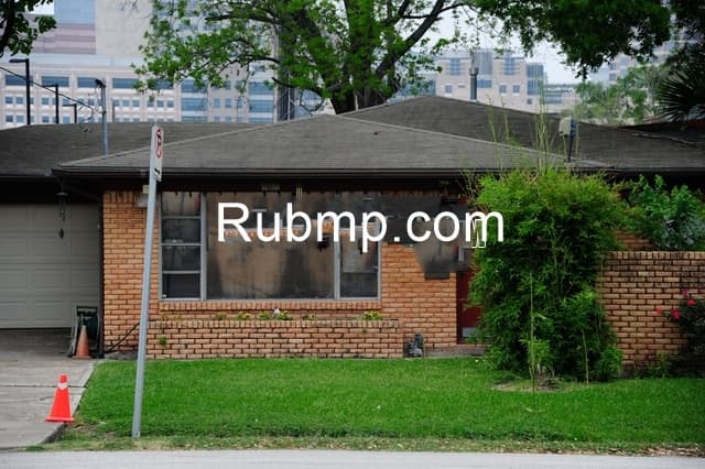 Photo of Wild Rose