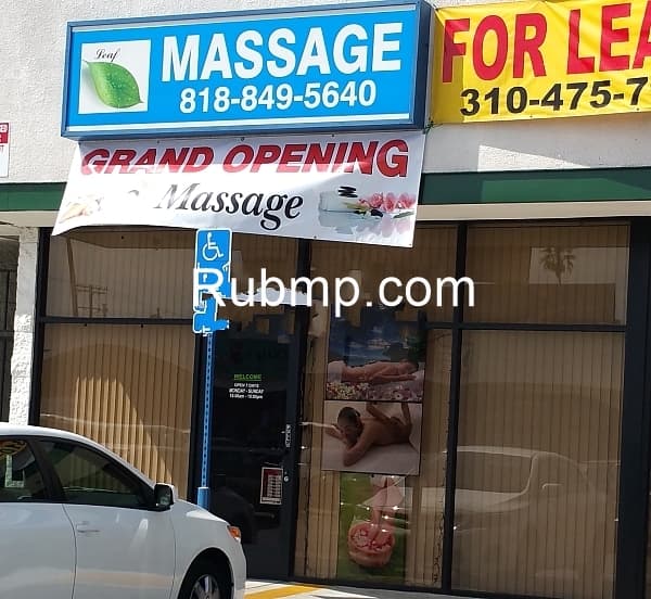 Photo of Leaf Massage