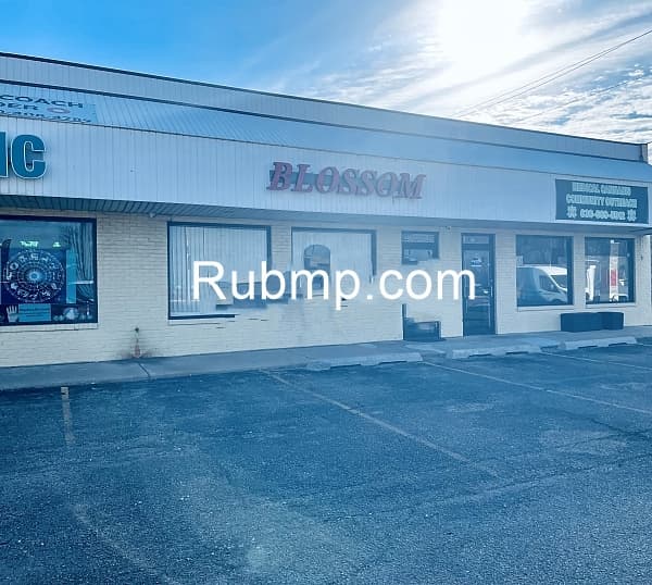 Photo of Blossom Spa