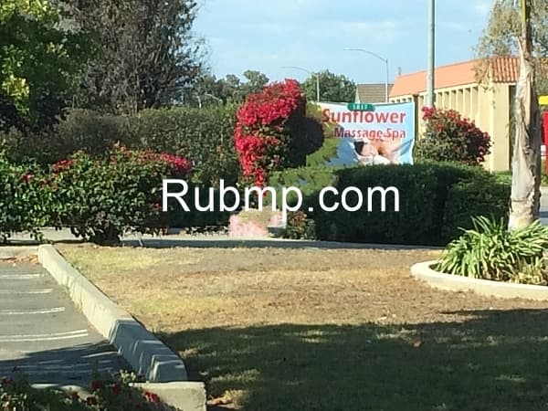 Photo of Sunflower Spa