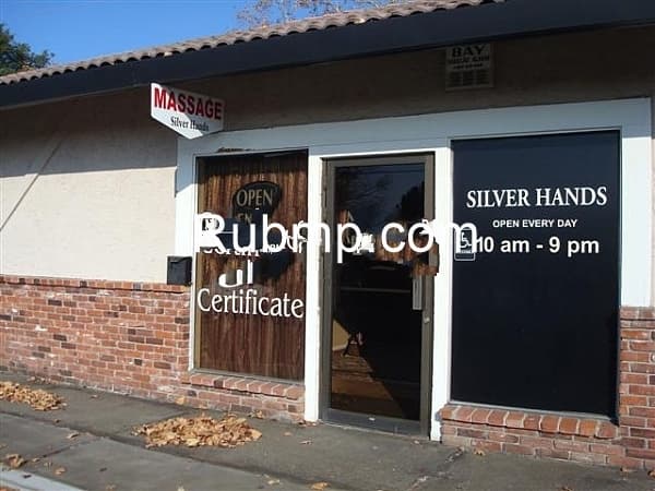 Photo of Silver Hands