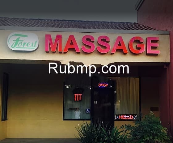 Photo of Forest Massage