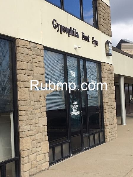 Photo of Gypsophila Asia Spa