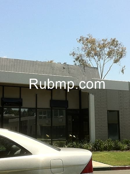 Photo of Best Korean/Latina Massage